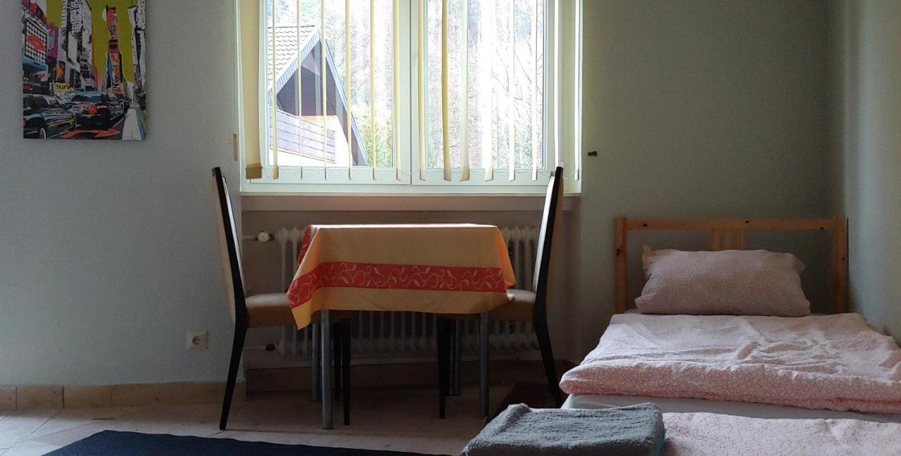 Kleines Studio 07, Fuer Den Kurzen Aufenthalt Schonau  Eksteriør billede